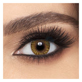 Alcon Pure Hazel Monthly Akshar Optical