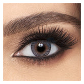 Alcon Pure Gray Monthly (Copy) Akshar Optical