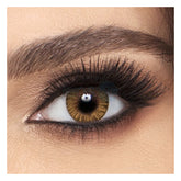 Alcon Honey Monthly Akshar Optical