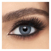 Alcon Sterling Gray Monthly Akshar Optical