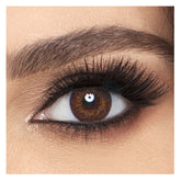 Alcon Pure Gray Monthly Akshar Optical