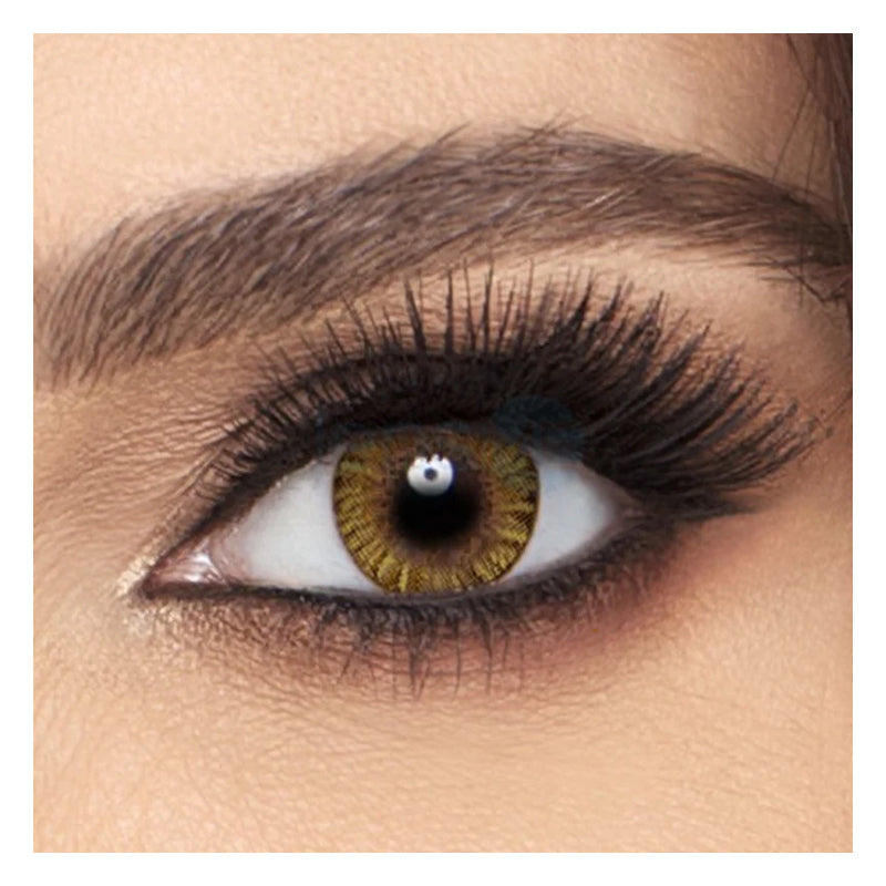 Alcon Pure Hazel Monthly Akshar Optical