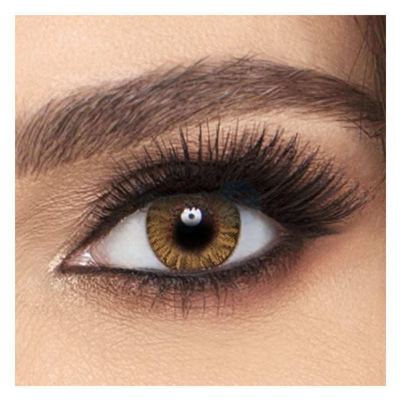 Alcon Honey Monthly Akshar Optical