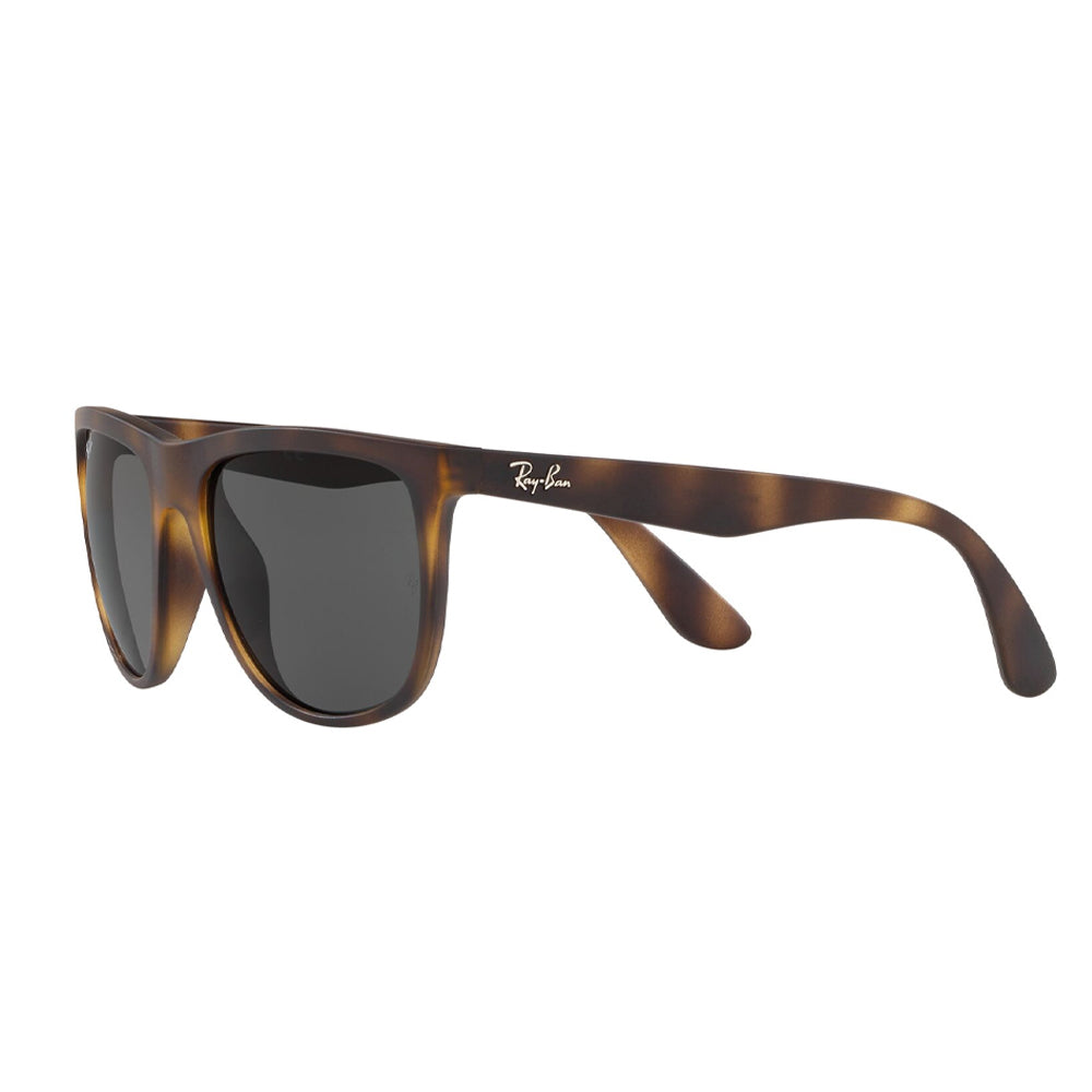 RAYBAN RB 4251 Akshar Optical