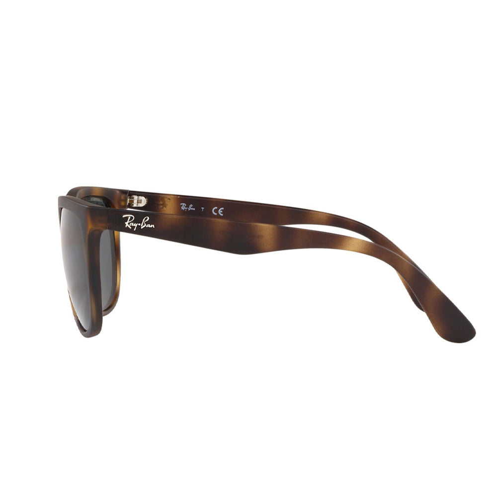 RAYBAN RB 4251 Akshar Optical
