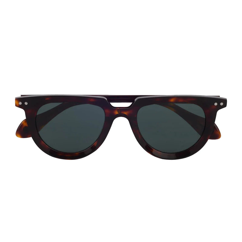 ROSVIN BUGS FREDDY SUN- 002 Akshar Optical