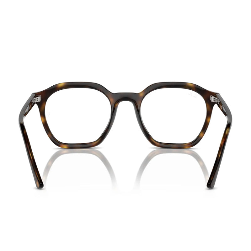 RAYBAN RX7238 Alice 2012 Akshar Optical