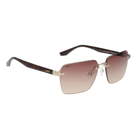 SCOTT SC3104 C1 Akshar Optical