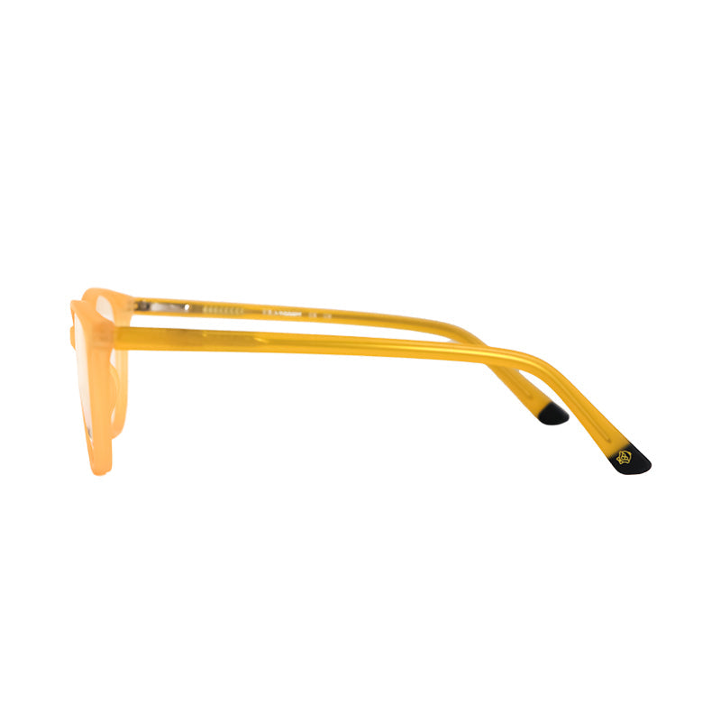 TRANSMIT TMB42 C9 Akshar Optical