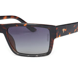 TRANSMIT TMS W8065 C4 Akshar Optical