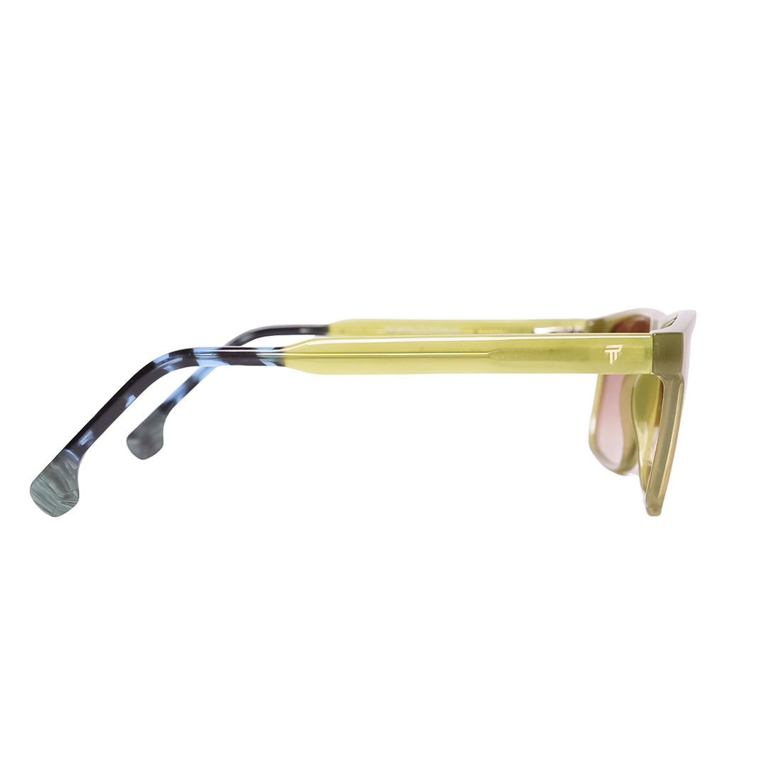 TRANSMIT TM TR601 C3 Akshar Optical