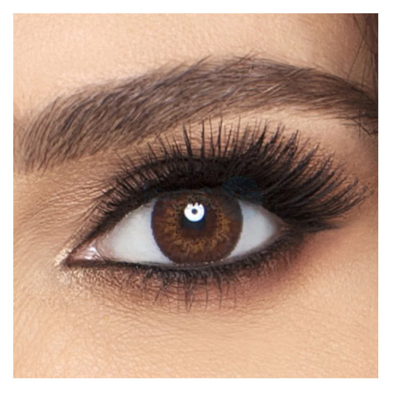 Alcon Pure Gray Monthly Akshar Optical